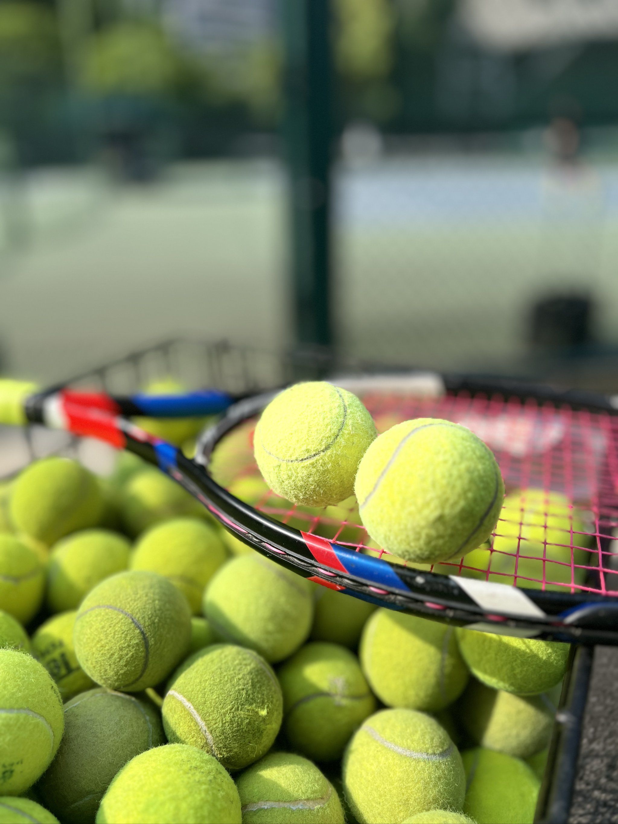 可怕的是丧 可怕的是丧