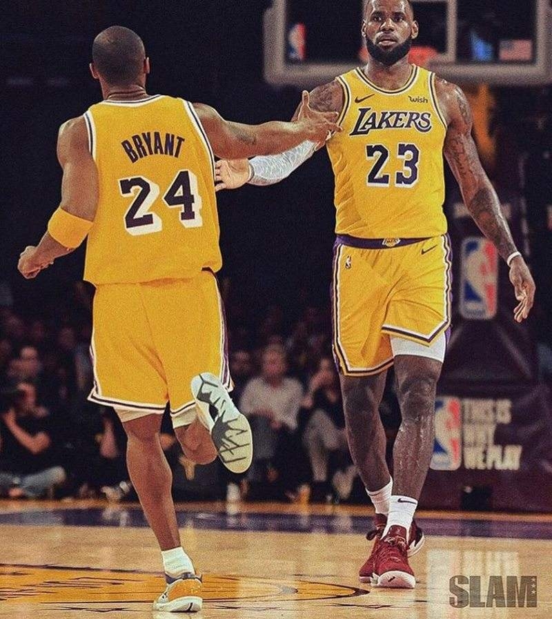 案例分析 案例分析